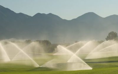 Manejo del recurso “agua” en los campos de golf