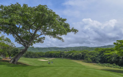 Con el Flor de Caña Open se reinicia el PGA TOUR Latinoamérica