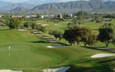 Cuatro días y 132 jugadores en Lauro Golf