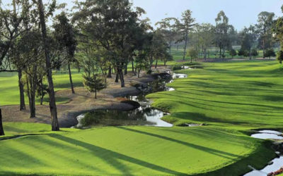 Copa de su Majestad el Rey de España en el Club de Golf los Lagartos