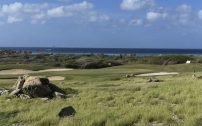 Todo listo para edición inaugural de la Aruba Cup