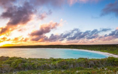 Tiger Woods está construyendo un campo de golf en Bahamas