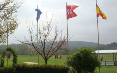 Campeonato de Madrid Interclubes Alevín