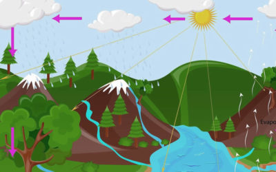 ¿Para dónde se va el agua? Ciclo del agua de riego