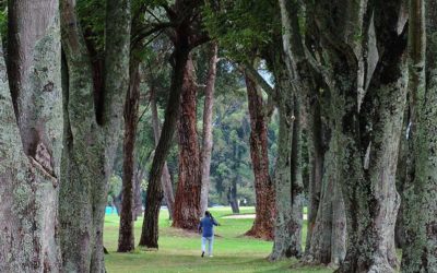 El centenario de algunos clubes de golf