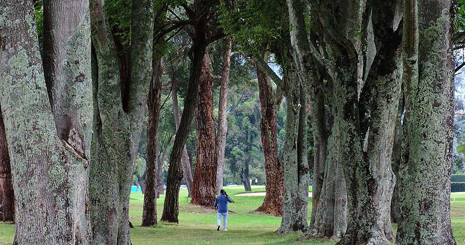 El centenario de algunos clubes de golf