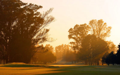 Turkish Airlines trae su 5ª Copa Mundial de Golf a Buenos Aires