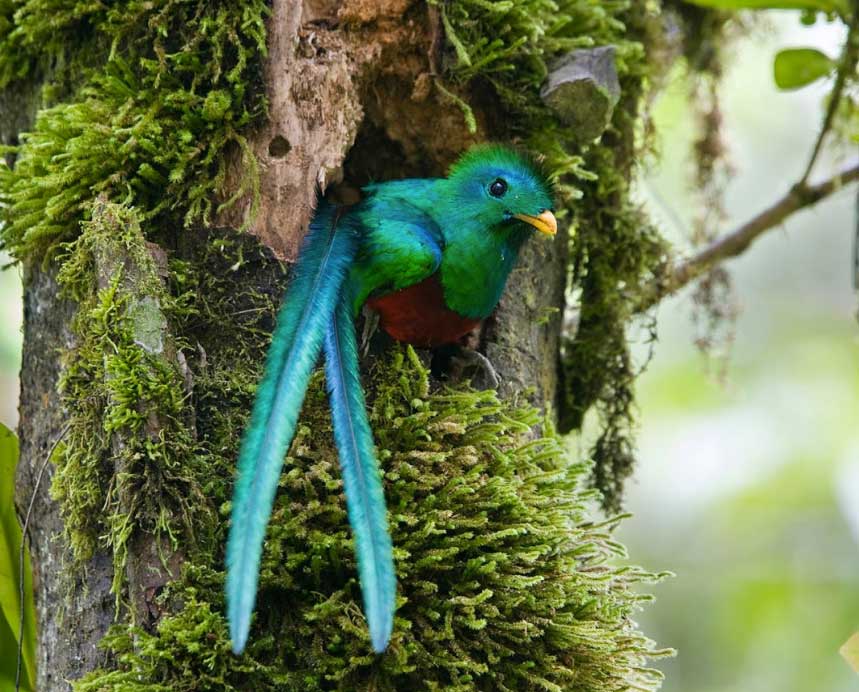 quetzal tours guatemala