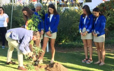 Un árbol homenajea a Celia Barquín durante el Campeonato de España de Federaciones Autonómicas Femenino