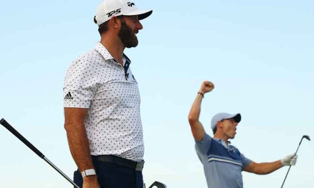 McIlroy y Johnson logran la victoria en regreso del golf profesional